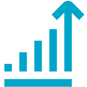 Company Credit Reports